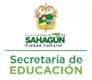 SEM Sahagún